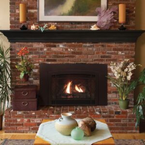 Stock Image - American Hearth - Franklin Direct-Vent Inserts American Hearth - Stove Depot and Chimney Works