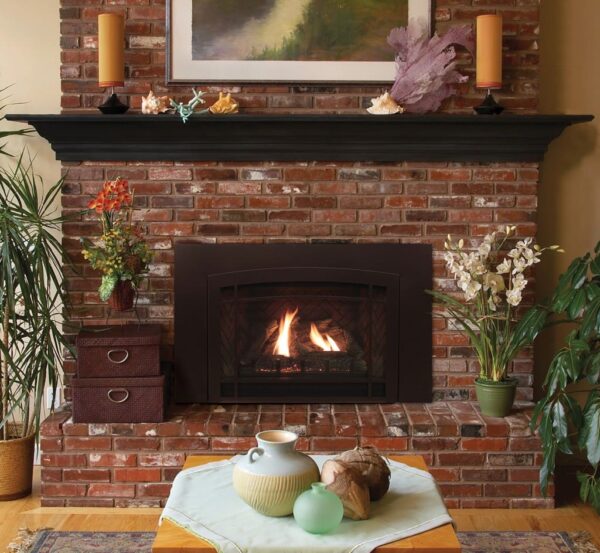Stock Image - American Hearth - Franklin Direct-Vent Inserts American Hearth - Stove Depot and Chimney Works