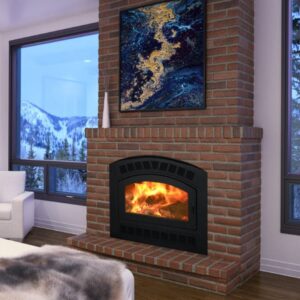 Stock Image - Kozy Heat Albany Fireplaces - Stove Depot and Chimney Works