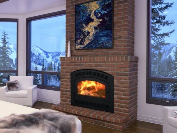 Stock Image - Kozy Heat Albany Fireplaces - Stove Depot and Chimney Works