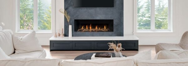 Stock Image - Regency - City Series New York View 50  Gas Fireplace Regency - Stove Depot and Chimney Works