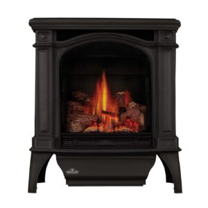 Stock Image - Napoleon - Bayfield™ Direct Vent Stove, Natural Gas, Electronic Ignition - Black Napoleon Hearth Gas Freestanding Stove - Stove Depot and Chimney Works