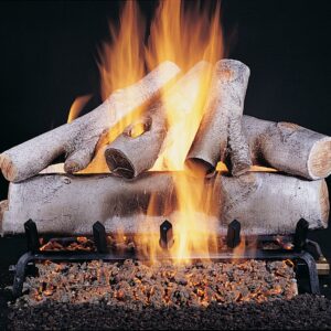 Stock Image - Rasmussen - Birch (WB) Rasmussen Gas Log Set & Burner - Stove Depot and Chimney Works