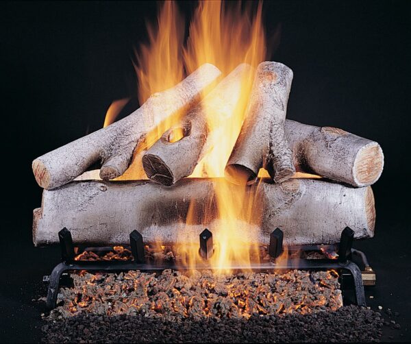 Stock Image - Rasmussen - Birch (WB) Rasmussen Gas Log Set & Burner - Stove Depot and Chimney Works
