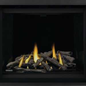 Stock Image - Napoleon - CAX42 Direct Vent Fireplace, Propane, Electronic Ignition Napoleon Hearth Gas Fireplace - Stove Depot and Chimney Works