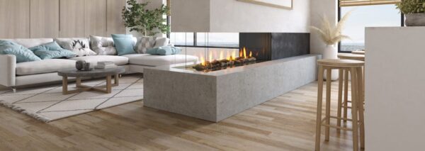 Stock Image - Regency - City Series Santa Monica Pier 60  Gas Fireplace Regency - Stove Depot and Chimney Works