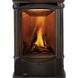 Stock Image - Napoleon - Castlemore™ Direct Vent Stove, Natural Gas, Electronic Ignition - Majolica Brown Napoleon Hearth Gas Freestanding Stove - Stove Depot and Chimney Works