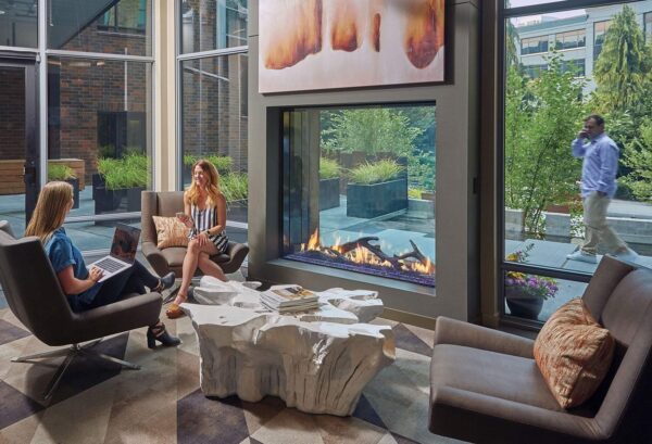 Stock Image - DaVinci Custom Fireplaces - DaVinci Collection - See-Thru Linear Gas Fireplace DaVinci Gas Linear Fireplace & Outdoor Fire - Stove Depot and Chimney Works