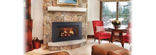 Stock Image - Regency - Energy E33  Gas Insert Regency - Stove Depot and Chimney Works
