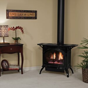 Stock Image - American Hearth - Spirit Gas Stoves - Direct-Vent Cast Iron Stoves (DVP) American Hearth - Stove Depot and Chimney Works