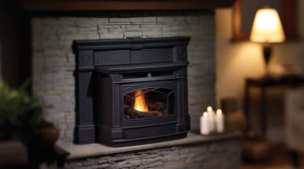 Stock Image - Hampton -  GCI60  Pellet Insert Hampton - Stove Depot and Chimney Works