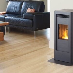 Stock Image - Regency - Greenfire - GF40  Pellet Stove Regency - Stove Depot and Chimney Works