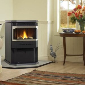 Stock Image - Regency - Greenfire - GF55  Pellet Stove Regency - Stove Depot and Chimney Works