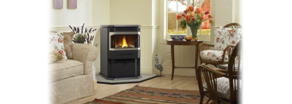 Stock Image - Regency - Greenfire - GF55  Pellet Stove Regency - Stove Depot and Chimney Works