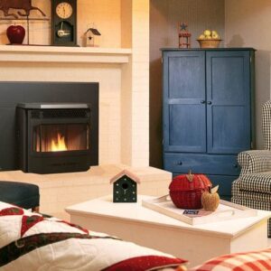 Stock Image - Regency - Greenfire - GFI55  Pellet Insert Regency - Stove Depot and Chimney Works
