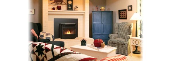 Stock Image - Regency - Greenfire - GFI55  Pellet Insert Regency - Stove Depot and Chimney Works