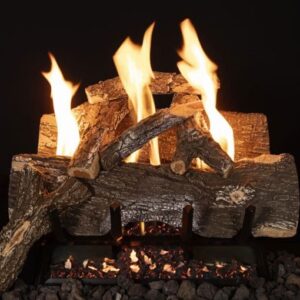 Stock Image - Regency -  GL18VF  Gas Log Set Regency - Stove Depot and Chimney Works
