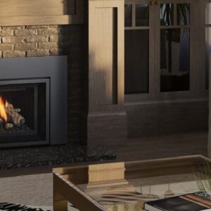 Stock Image - Regency - Atmosphere Gi25LE  Gas Insert Regency - Stove Depot and Chimney Works