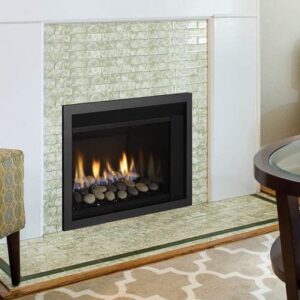 Stock Image - Regency - Horizon - HRI3E  Gas Insert Regency - Stove Depot and Chimney Works