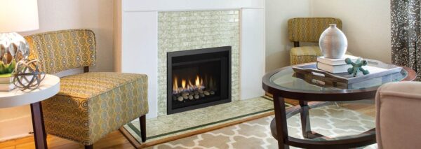 Stock Image - Regency - Horizon - HRI3E  Gas Insert Regency - Stove Depot and Chimney Works