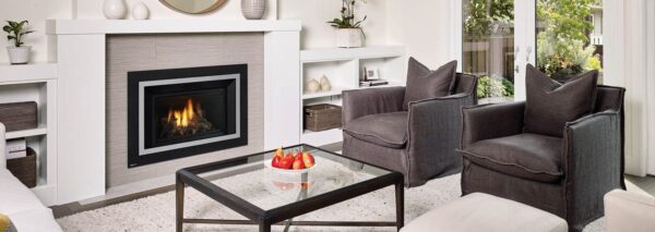 Stock Image - Regency - Horizon - HRI4E  Gas Insert Regency - Stove Depot and Chimney Works