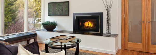 Stock Image - Regency - Horizon - HRI6E  Gas Insert Regency - Stove Depot and Chimney Works