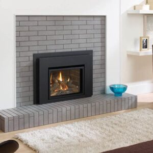Stock Image - Regency - Liberty - L234  Gas Insert Regency - Stove Depot and Chimney Works