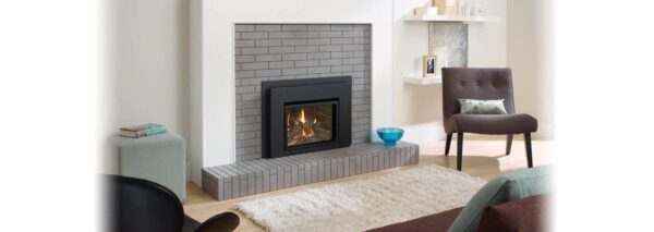 Stock Image - Regency - Liberty - L234  Gas Insert Regency - Stove Depot and Chimney Works