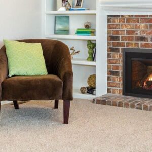 Stock Image - Regency - Liberty - LRI3E  Gas Insert Regency - Stove Depot and Chimney Works