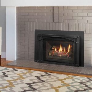 Stock Image - Regency - Liberty - LRI4E  Gas Insert Regency - Stove Depot and Chimney Works
