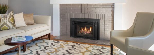Stock Image - Regency - Liberty - LRI4E  Gas Insert Regency - Stove Depot and Chimney Works