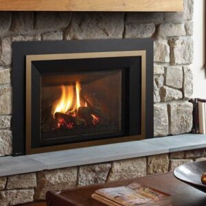 Stock Image - Regency - Liberty - LRI6E  Gas Insert Regency - Stove Depot and Chimney Works