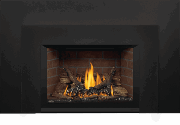 Stock Image - Napoleon - Oakville™ 3 Gas Fireplace Insert, Natural Gas, Electronic Ignition Napoleon Hearth Gas Insert - Stove Depot and Chimney Works