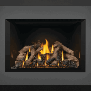 Stock Image - Napoleon - Oakville™ X4 Gas Fireplace Insert, Natural Gas, Electronic Ignition Napoleon Hearth Gas Insert - Stove Depot and Chimney Works