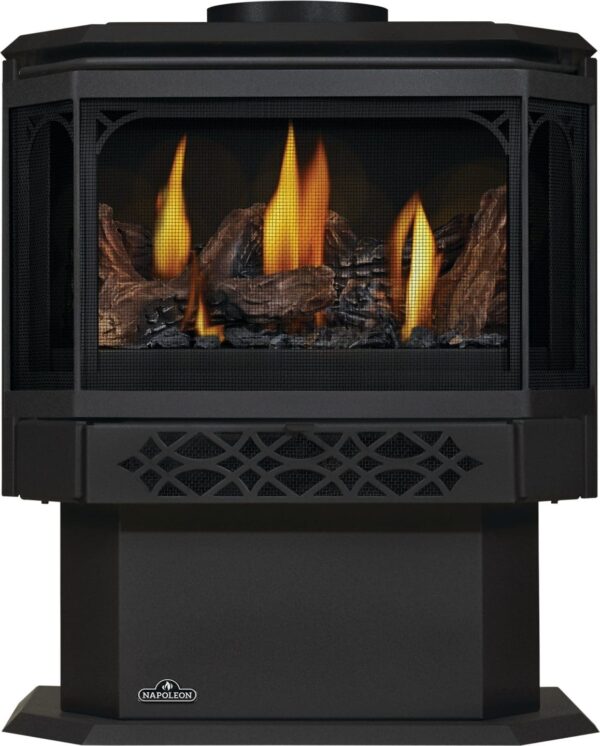 Stock Image - Napoleon - Haliburton™ Direct Vent Stove, Natural Gas, Millivolt Ignition Napoleon Hearth Gas Freestanding Stove - Stove Depot and Chimney Works