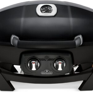 Stock Image - Napoleon - TravelQ™ PRO285 Portable Natural Gas Grill, Black Napoleon Grill Gas Portable Portable Grill - Stove Depot and Chimney Works