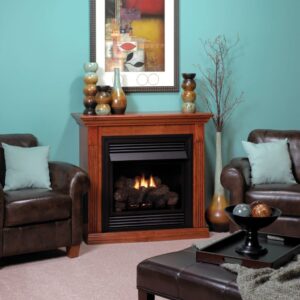 Stock Image - American Hearth - Lincoln 26 Special Edition American Hearth - Stove Depot and Chimney Works