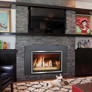 Stock Image - Kozy Heat Chaska 34 Is In Showroom - Stove Depot and Chimney Works