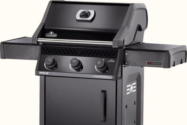 Stock Image - Ambiance - Ambiance 425 Ambiance Gas Cart & Freestanding - Stove Depot and Chimney Works