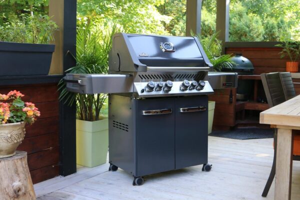 Stock Image - Ambiance - Ambiance 500 Ambiance Gas Cart & Freestanding - Stove Depot and Chimney Works