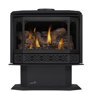 Stock Image - Napoleon - CDVS500 Direct Vent Stove, Natural Gas, Alternate Electronic Ignition Napoleon Hearth Gas Freestanding Stove - Stove Depot and Chimney Works
