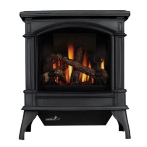 Stock Image - Napoleon - CDVS600 Direct Vent Stove, Natural Gas, Alternate Electronic Ignition Napoleon Hearth Gas Freestanding Stove - Stove Depot and Chimney Works