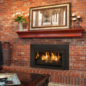 Stock Image - Kozy Heat Chaska 29 Gas Inserts - Stove Depot and Chimney Works