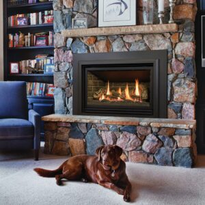Stock Image - Kozy Heat Chaska 335S Gas Inserts - Stove Depot and Chimney Works