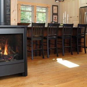 Stock Image - Kingsman - FDV451 -  Free Standing Direct Vent Stove Base Model - Stove Depot and Chimney Works