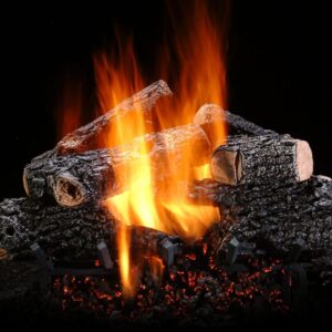 Stock Image - Ambiance - Hill Country Ambiance Gas Log Set & Burner - Stove Depot and Chimney Works