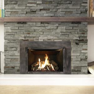 Stock Image - Ambiance - Inspiration 34 Ambiance Gas Contemporary Insert - Stove Depot and Chimney Works