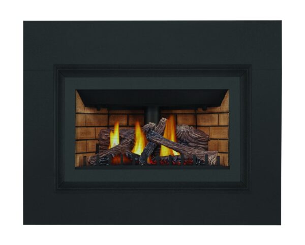 Stock Image - Napoleon - Inspiration™ ZC Gas Fireplace Insert , Natural Gas, Millivolt Ignition Napoleon Hearth Gas Insert - Stove Depot and Chimney Works