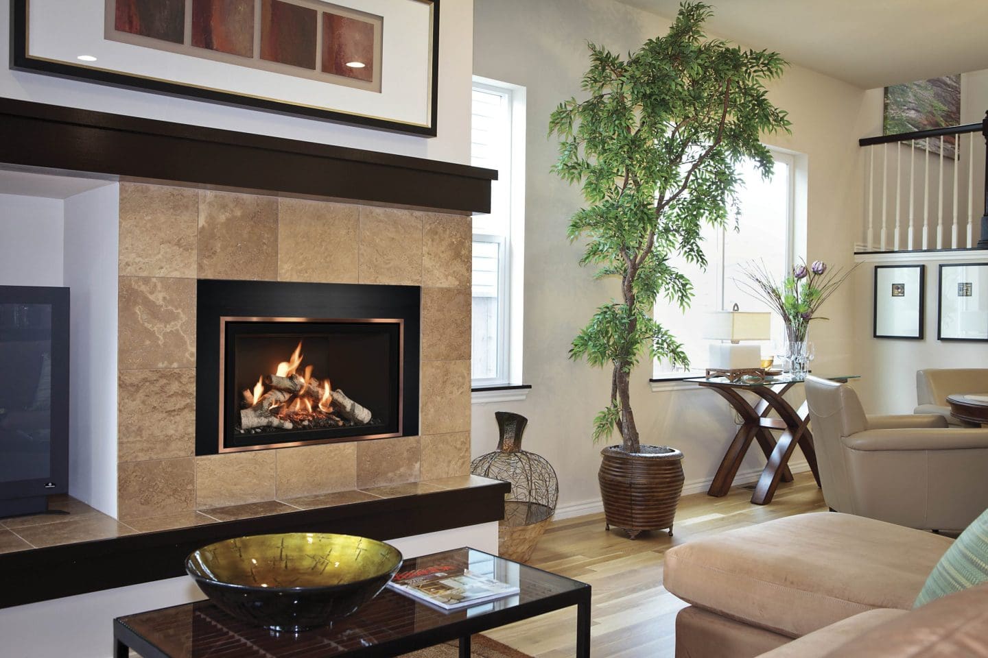 Mendota - FV44i FireIn Fireplace Insert - Image 3