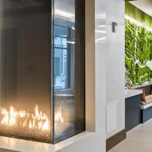 Acucraft Blaze Panoramic Gas Fireplace